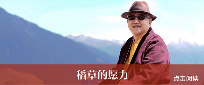 稻草的愿力.jpg