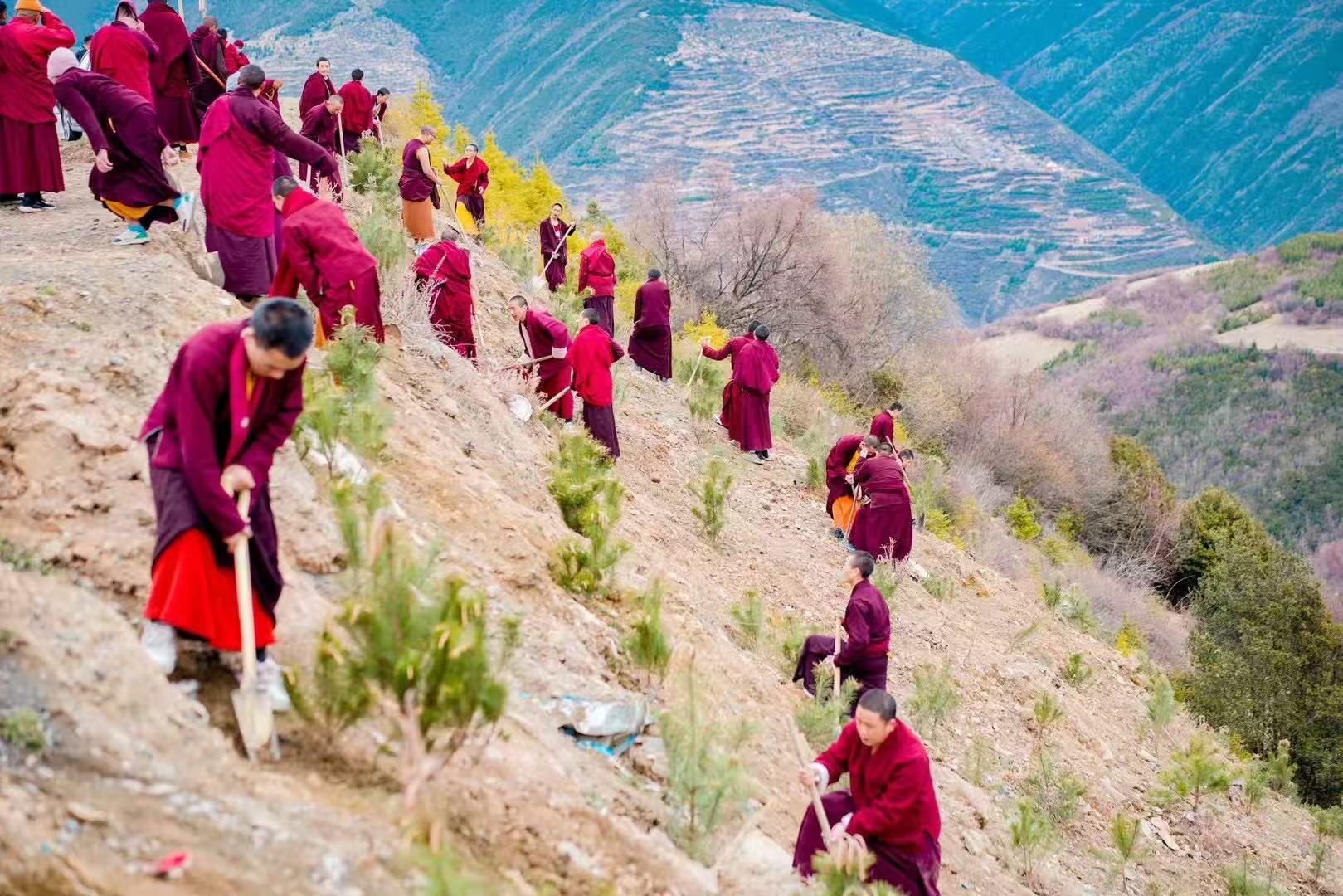 图5.jpg